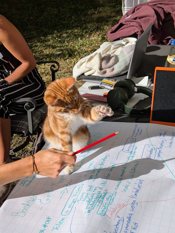 Katze spielt mit einem Stift.
